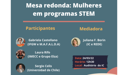 Mesa redonda: Mulheres em programas STEM